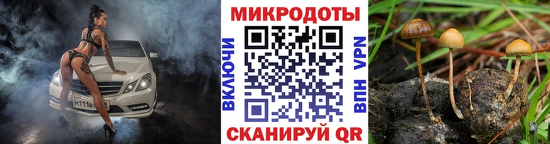 Псилоцибиновые грибы ЛСД  закладки  Дубна 