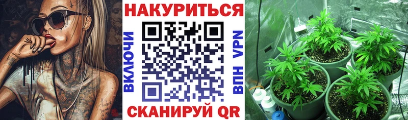 Канабис гибрид  где продают наркотики  блэк спрут вход  Дубна 